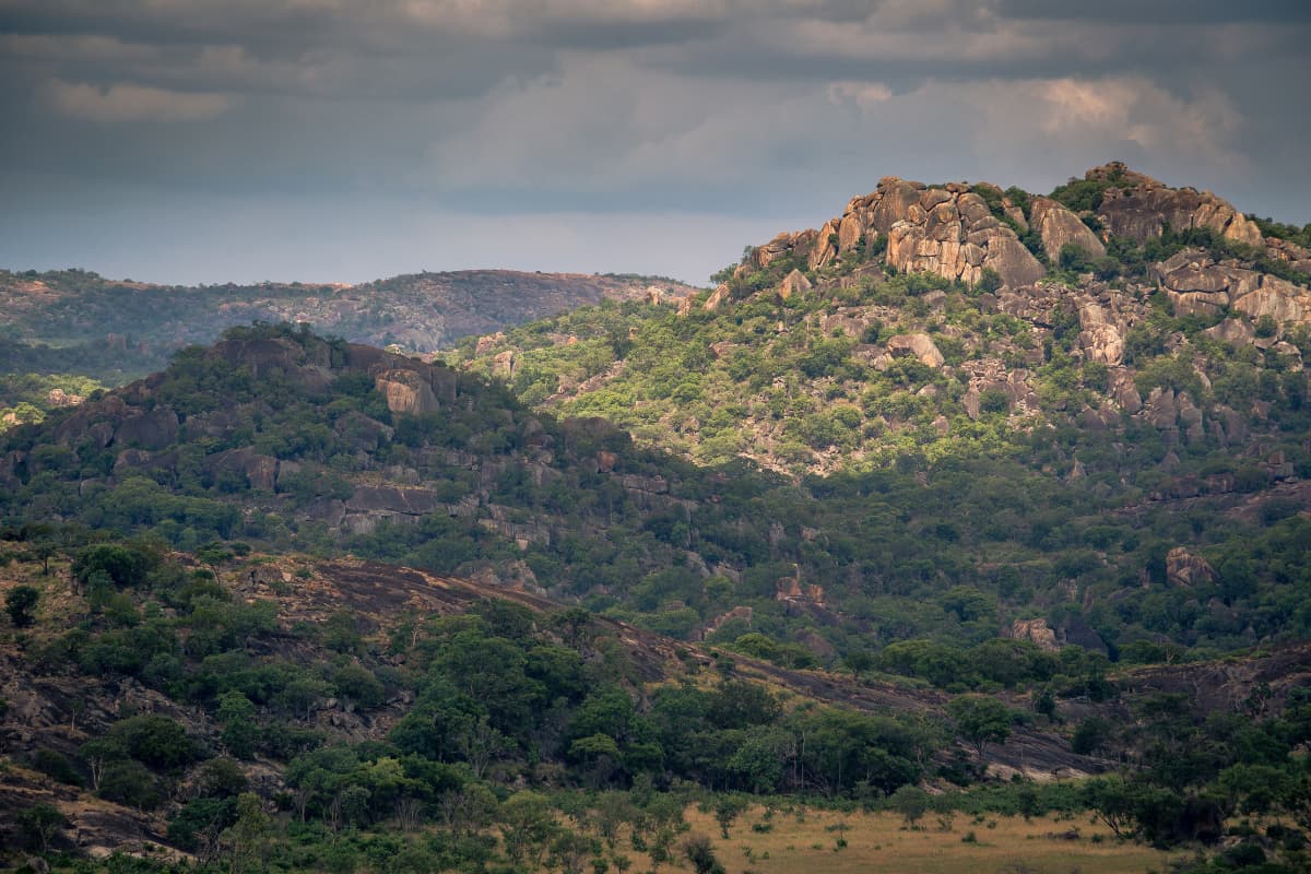 savannah--mountains